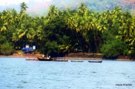 Dabhol backwaters 1