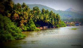 dabhol backwaters